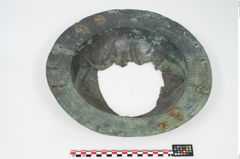 Foto von Bronzebreitrandschüssel (NHMW-PRAE-026417)